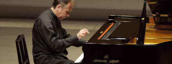 Mikhail Pletnev - Artist